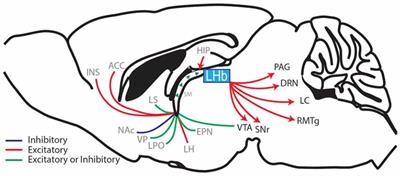 A Focus on Reward Prediction and the Lateral Habenula: Functional Alterations and the Behavioral Outcomes Induced by Drugs of Abuse